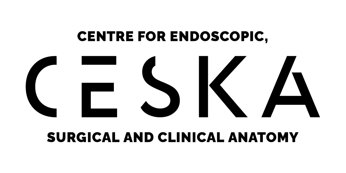 CESKA logo