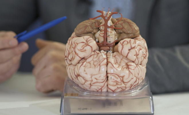 Mozek jako fascinující orgán